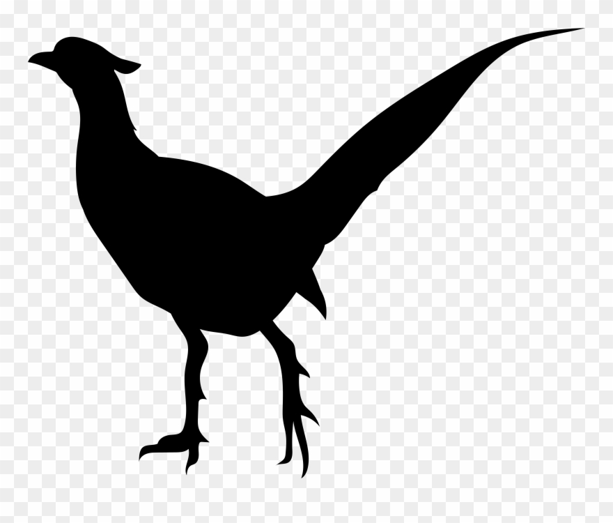 Bird Silhouette Clipart Transparent Png