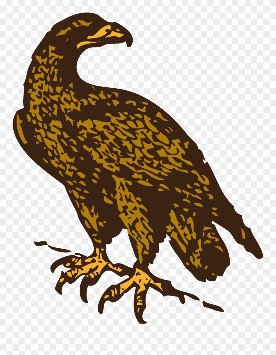 Vector Hawks Hawk Claw - Golden Eagle Clip Art - Png Download