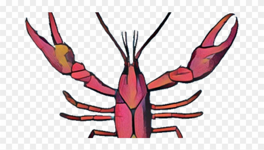 Clip Art Free Library Epiphany Richardson Boil And - The Episcopal Church Of The Epiphany - Png Download