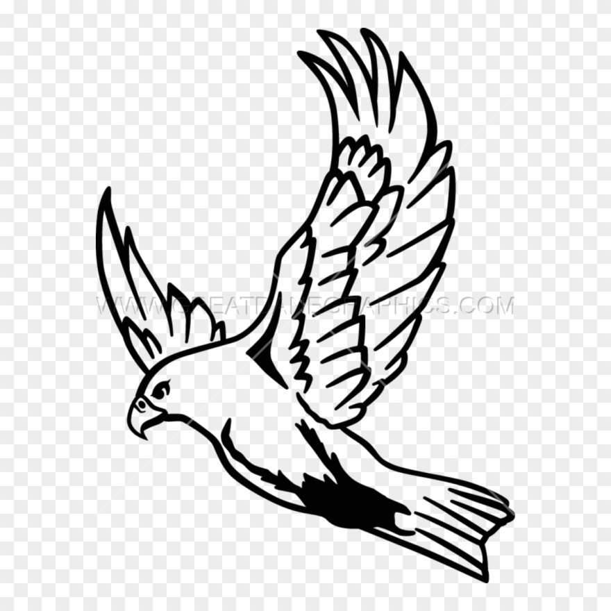 Clip Art Freeuse Download Flying At Getdrawings Com - Flying Falcon Drawing Easy - Png Download
