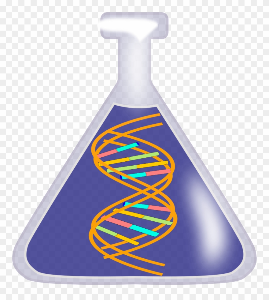 Bleach Bottle Cliparts - Dna Clip Art Png Transparent Png