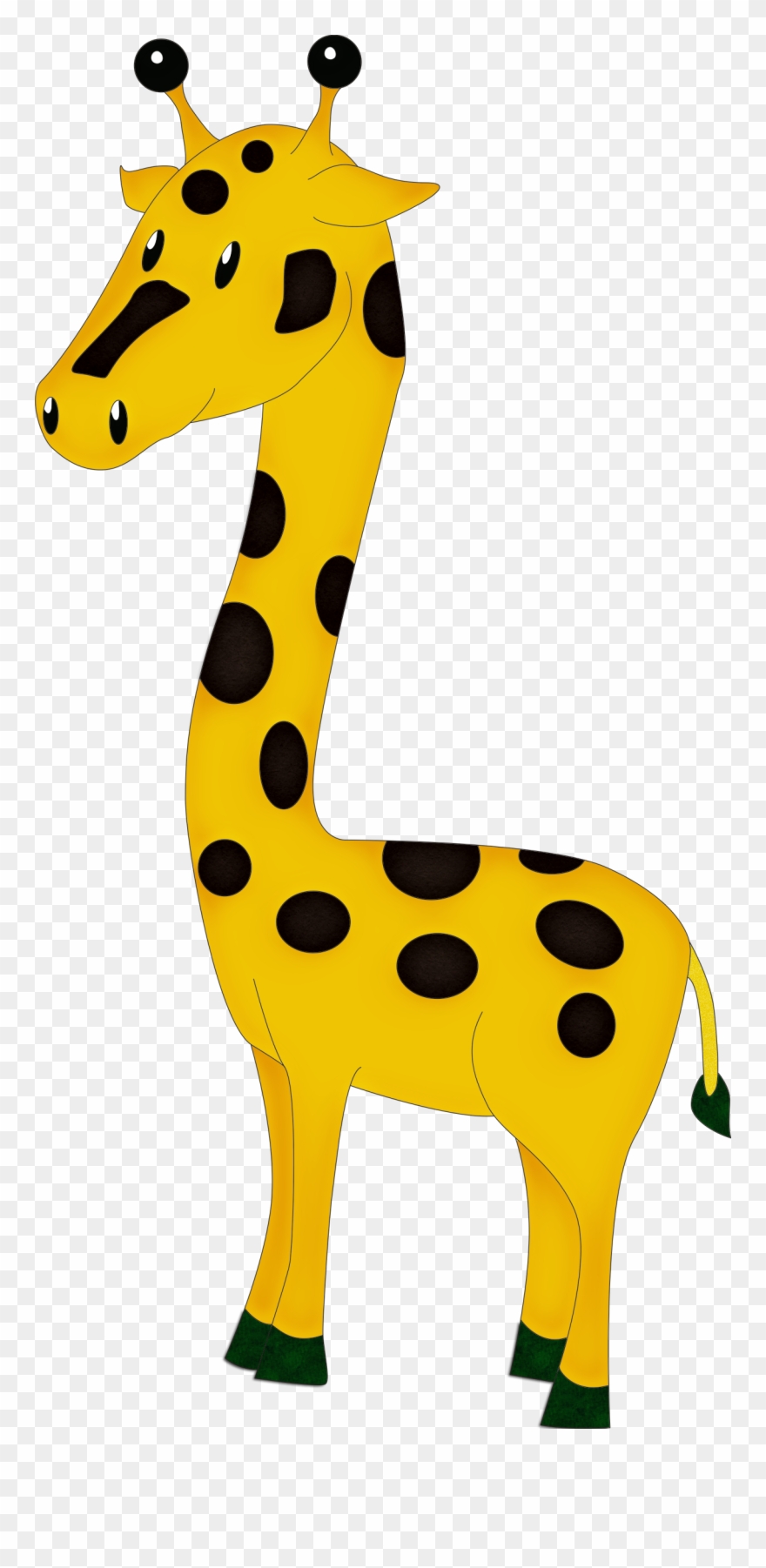 Photo By @duda-cavalcanti - Photograph Clipart