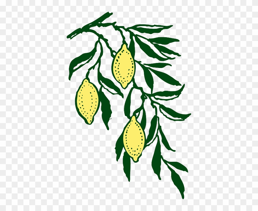 Youth Fundraiser For Mission Trip - Lemon Branch Clip Art - Png Download