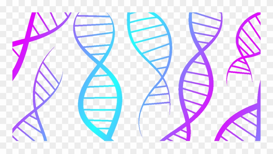 Almost Everything About You Is Known To Be At Least - Genetics Clipart