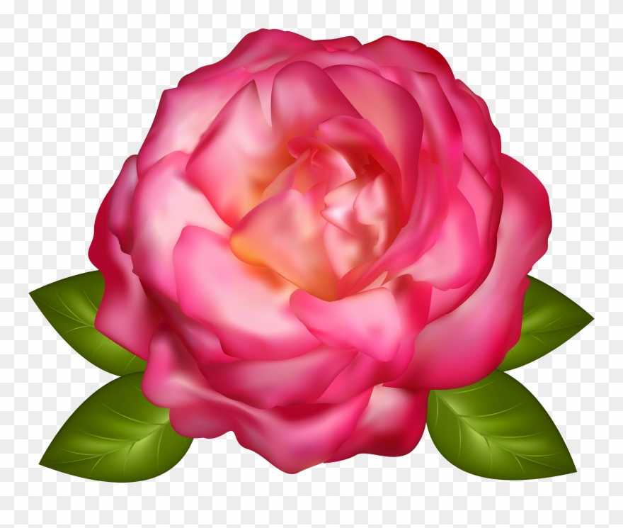 Roses - Rose Clipart