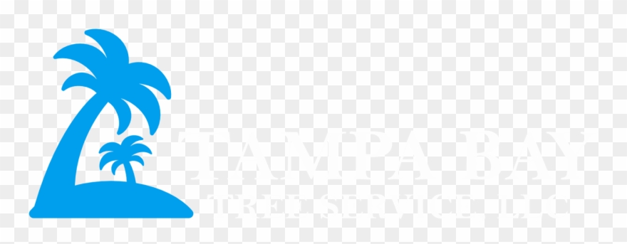 Follow - Tampa Bay Tree Service, Llc Clipart