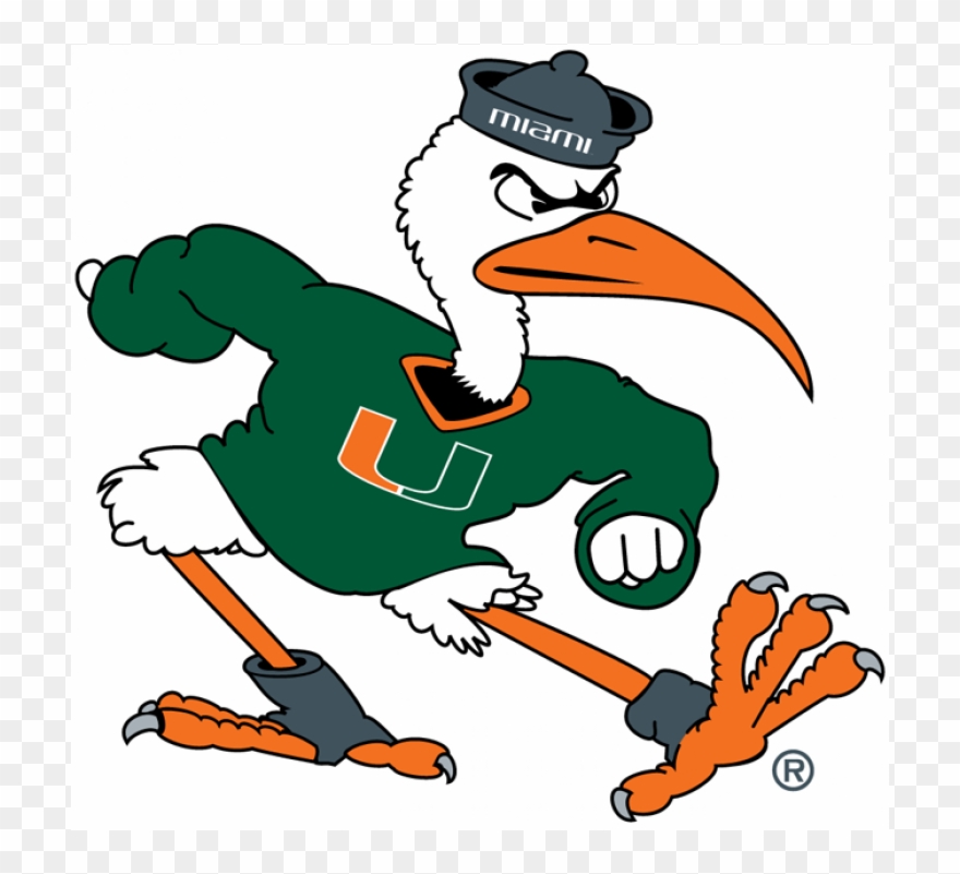 Miami Hurricanes Iron Ons - Sebastian The Ibis Logo Clipart