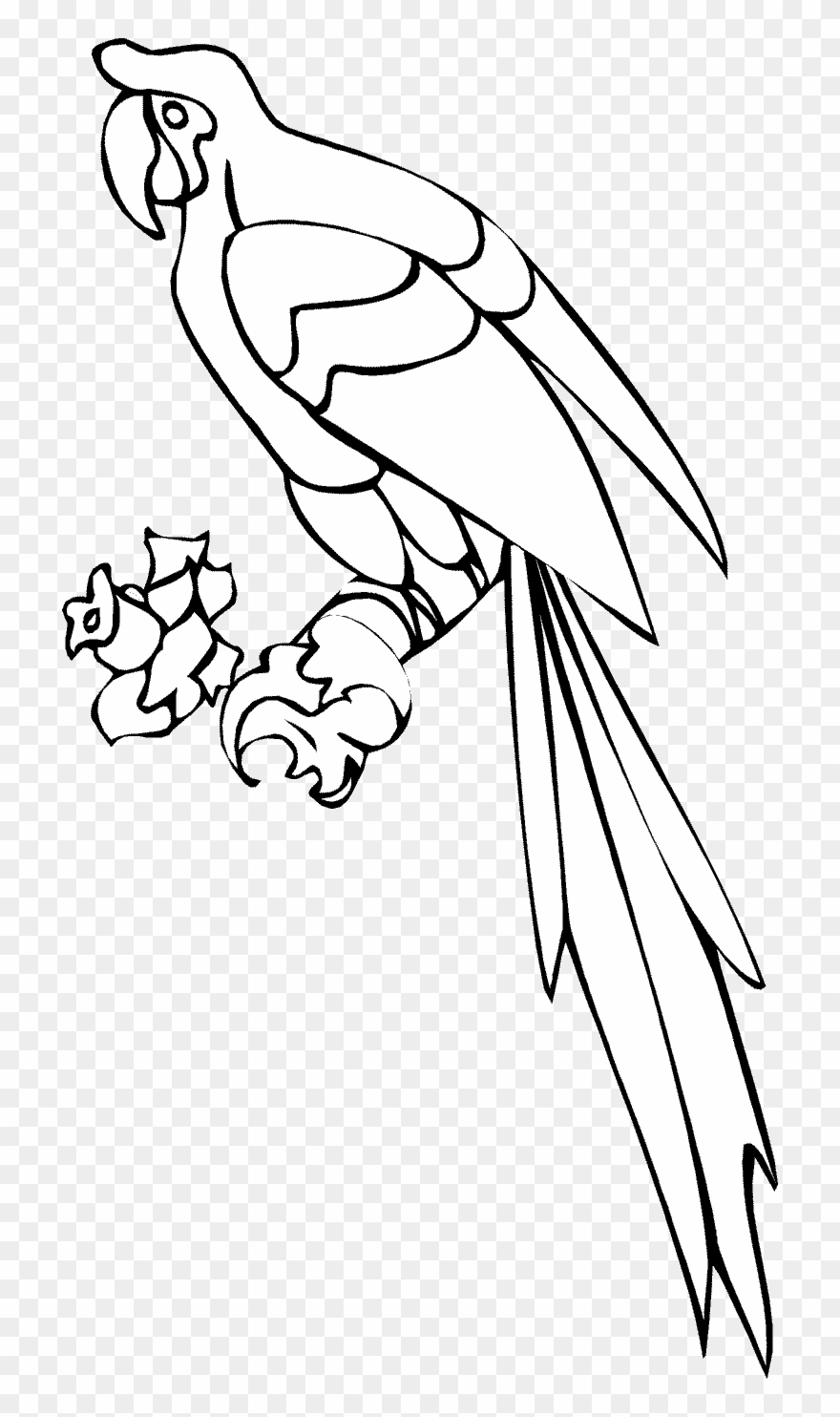 Parrot Clip Art Monkey 1 - Parrot Coloring Pages - Png Download