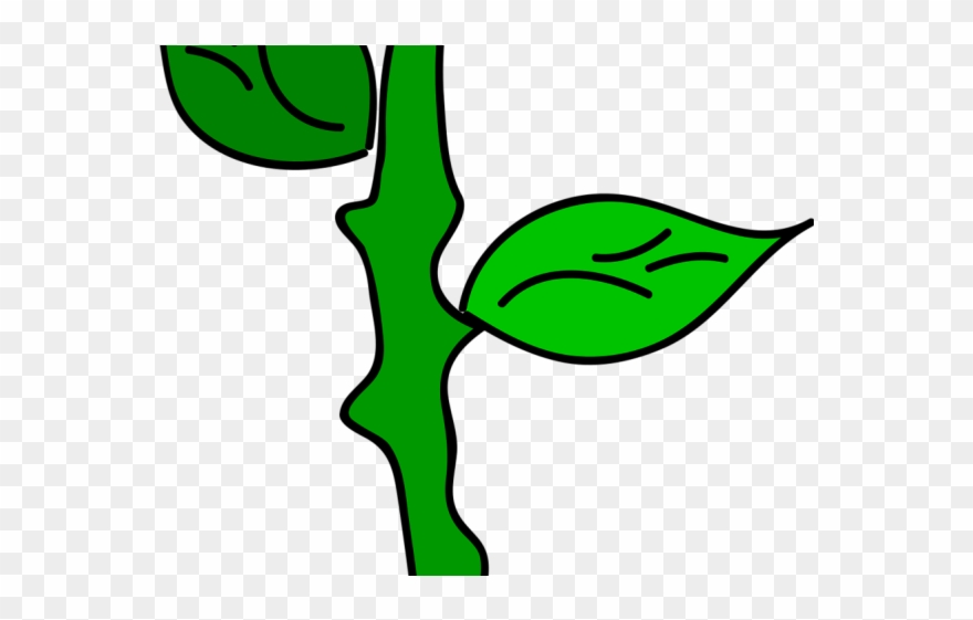 Cartoon Flowers Png Clipart