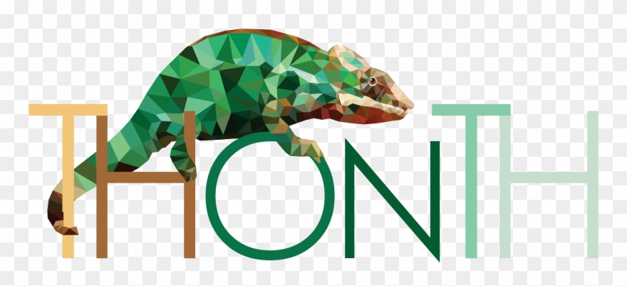 Destiny Matador 64 Png Clipart Free Library - Star Wars: The Force Awakens Transparent Png