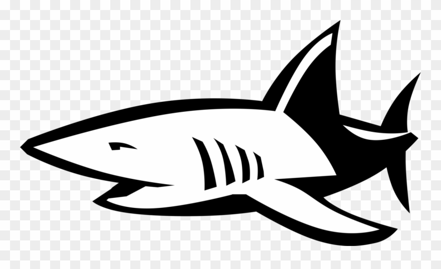 Vector Illustration Of Marine Predator Shark - Tubarao Em Vetor Png Clipart
