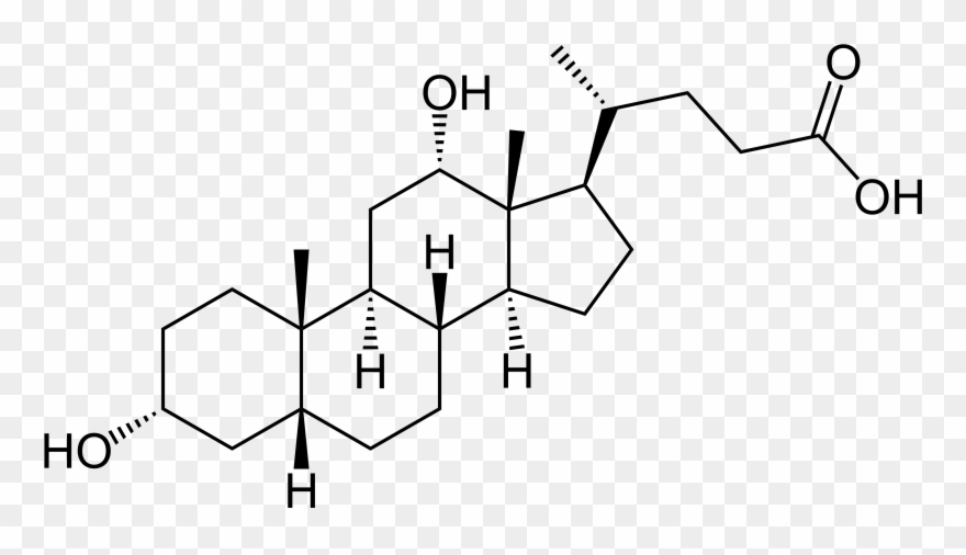 The Molecules Of Cholesterol And Different Bile Salts - Great Testosterone Myth By Aniruddha Railkar Phd 9781534709409 Clipart