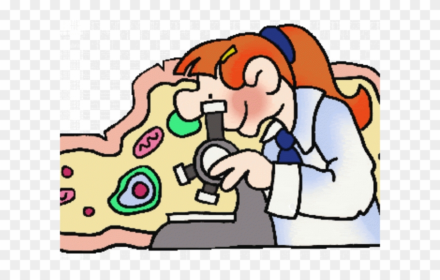 Clip Transparent Stock Science Word Cliparts Free Download - Drawing Of Cell Theory - Png Download