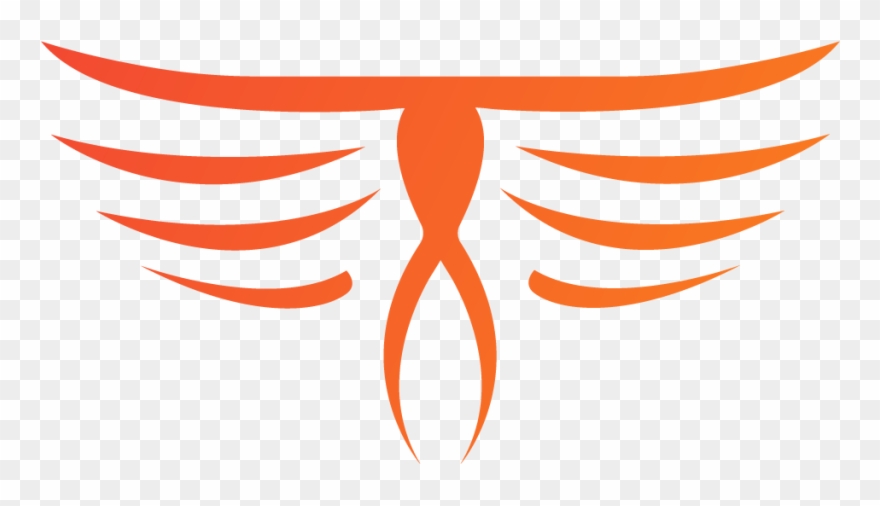 Looking For Organized Cs - United States Of America Clipart