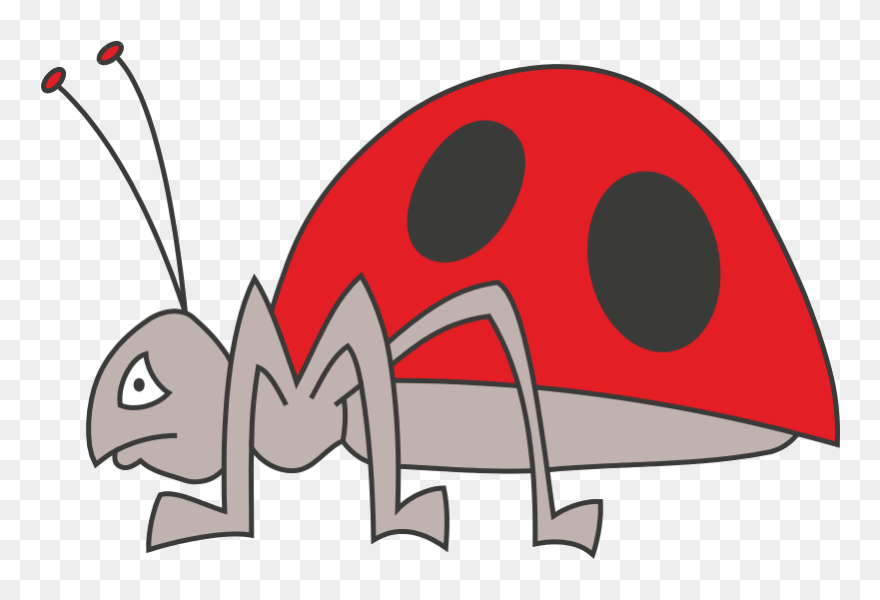 Free Download Coccinella Clipart Sticker Iron-on Car - Ladybird Beetle - Png Download