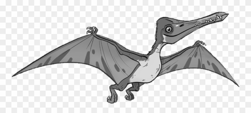 Logos And Pictures - Blue-footed Booby Clipart