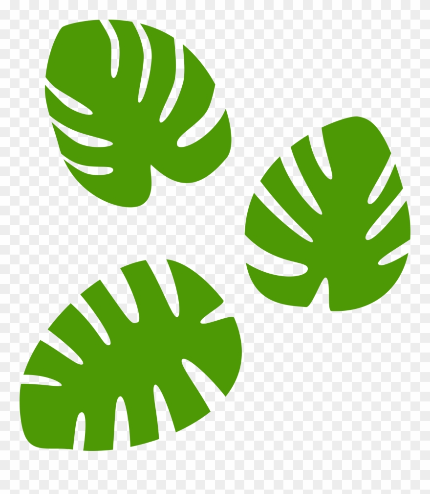 Monstera Leaves By Spacefem Monstera Leaves, Fiber - Swiss Cheese Plant Clip Art - Png Download