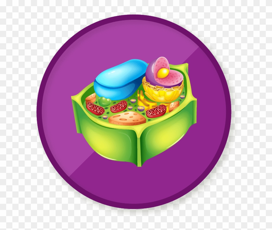 Win A Badge - Plant Cell Vector Clipart