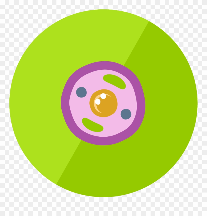 The Animal Cell - Animal Cell Icon Png Clipart