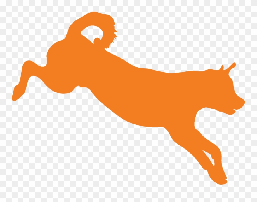 Regenerative Medicine Clipart