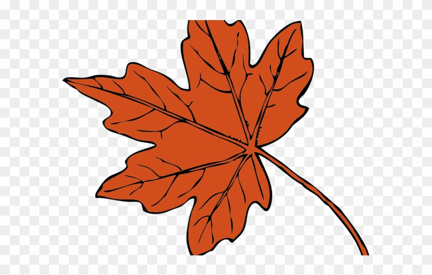 Leaves Clipart Leef - Thanksgiving Leaf Clip Art - Png Download