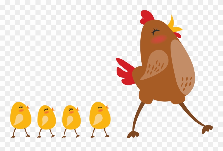 We Started Raising Chickens 20 Years Ago With A Simple - Cartoon Clipart