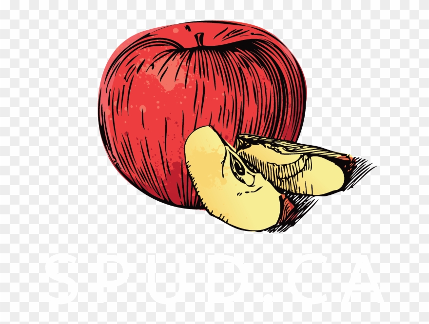 Spud Ca Logo Clipart