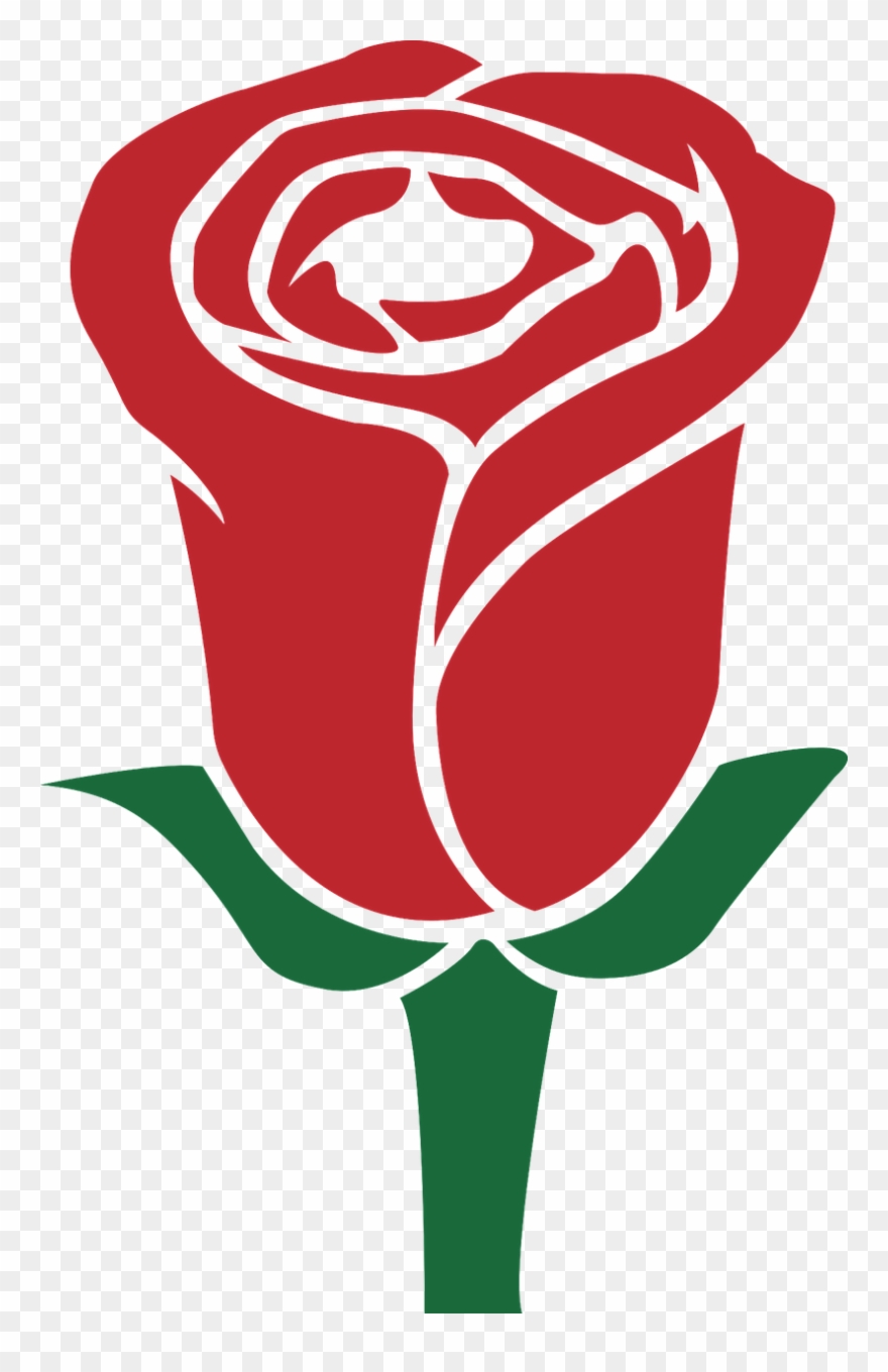 Rosa Dia Das Maes Png Clipart
