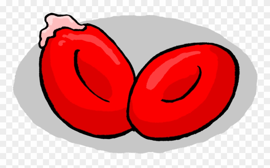 Globulo Pk - Portable Network Graphics Clipart