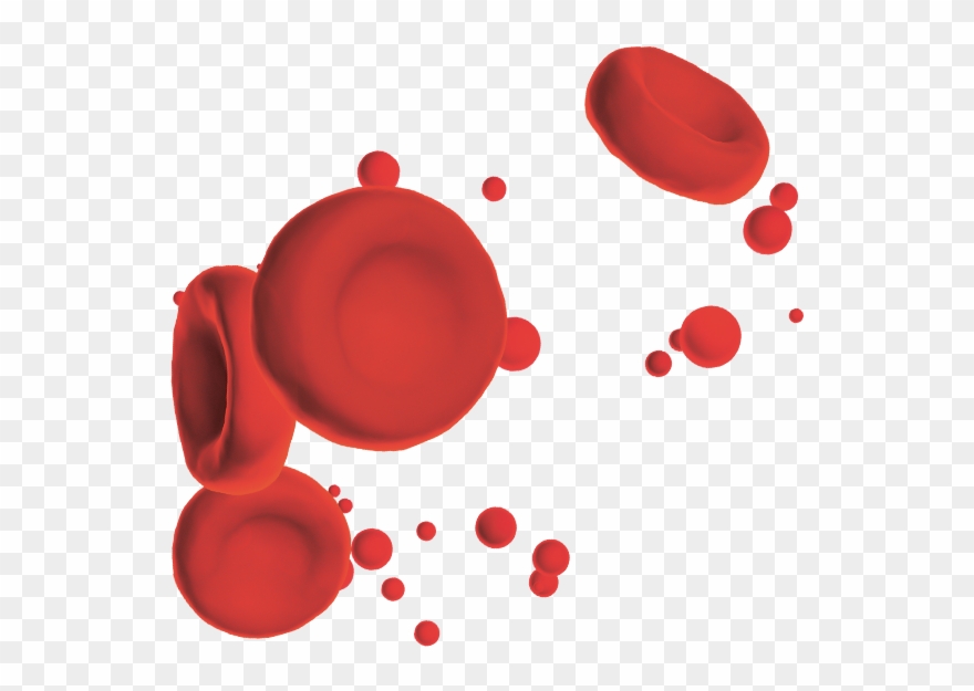 A Finger Scanner, Which Is Connected To A Smartphone, - Circle Clipart