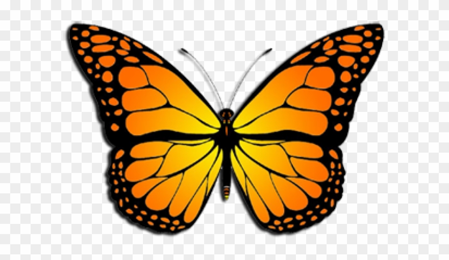 Monarch Butterfly Clipart August - Monarch Butterfly Clipart - Png Download
