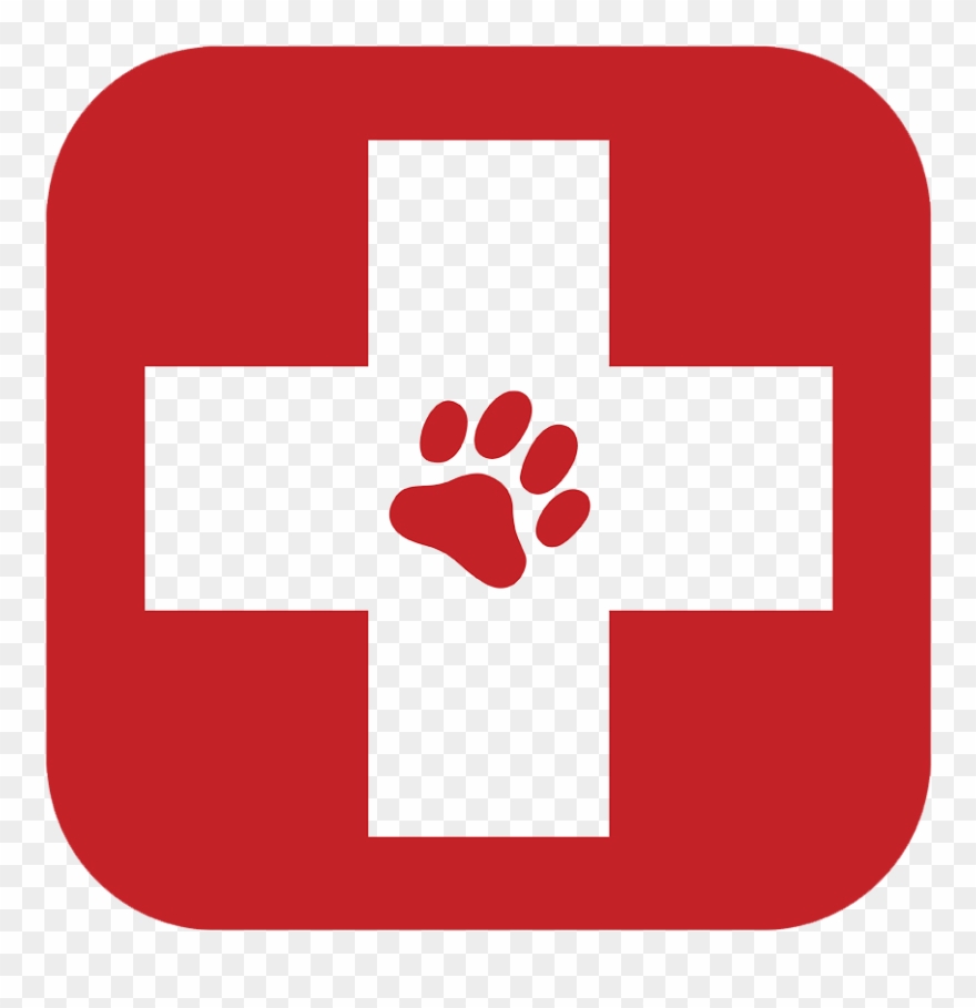 Urgent Care & Surgery - Animal Hospital Symbol Clipart