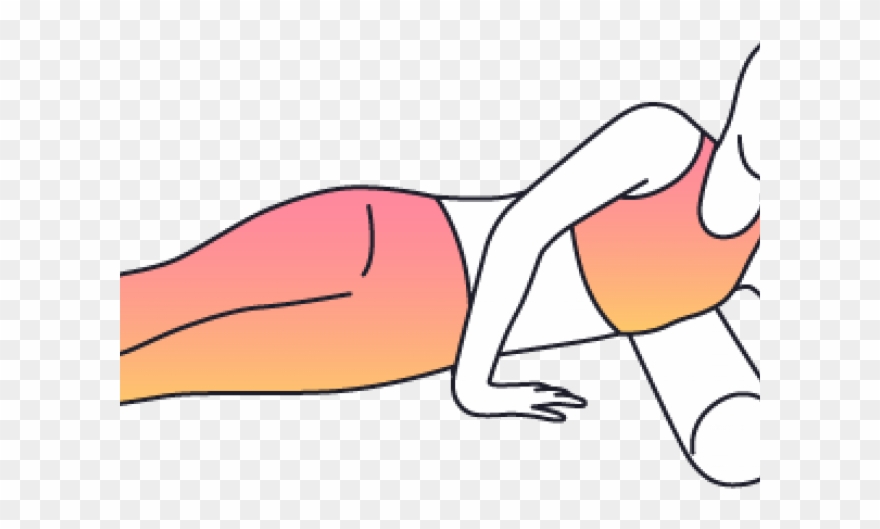 Foam Roller Clipart Png Transparent Png