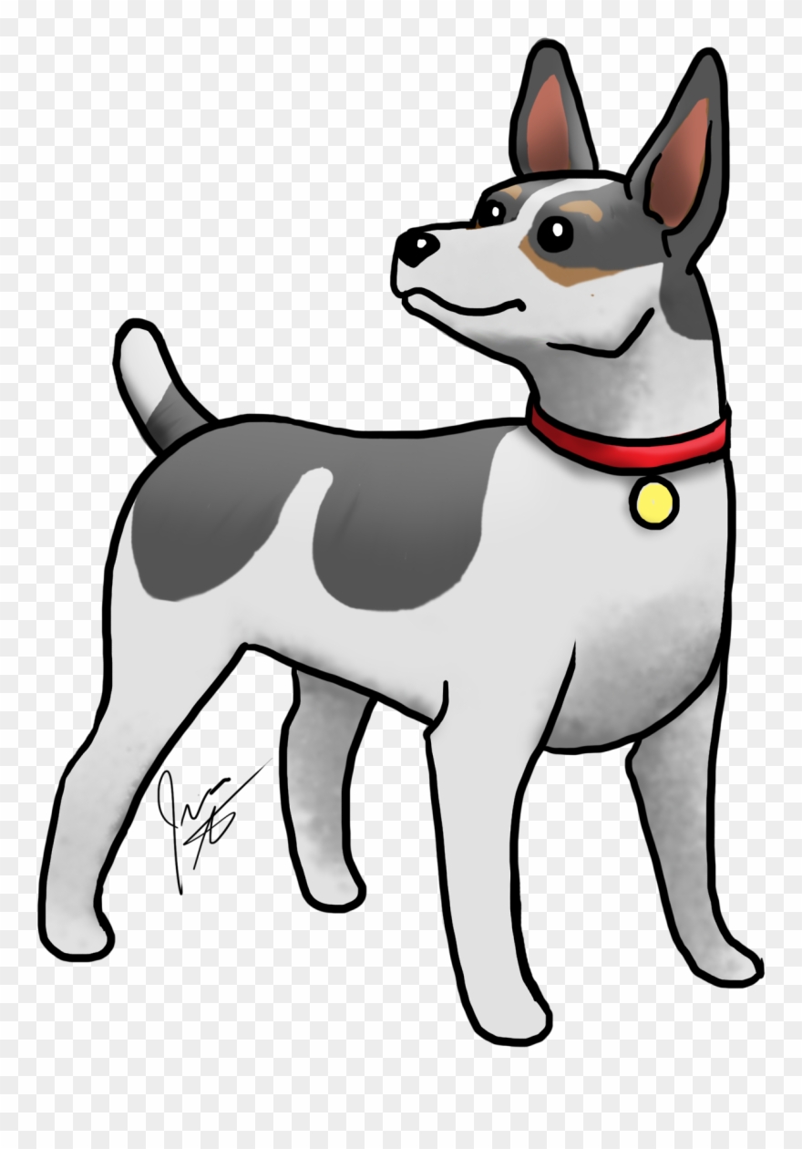 Rat Terrier Find Products Featuring This Little Guy - Rat Terrier Clipart