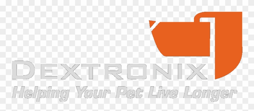 Heart Monitors Dextronix Clip Free Library - Ureteric Stent - Png Download