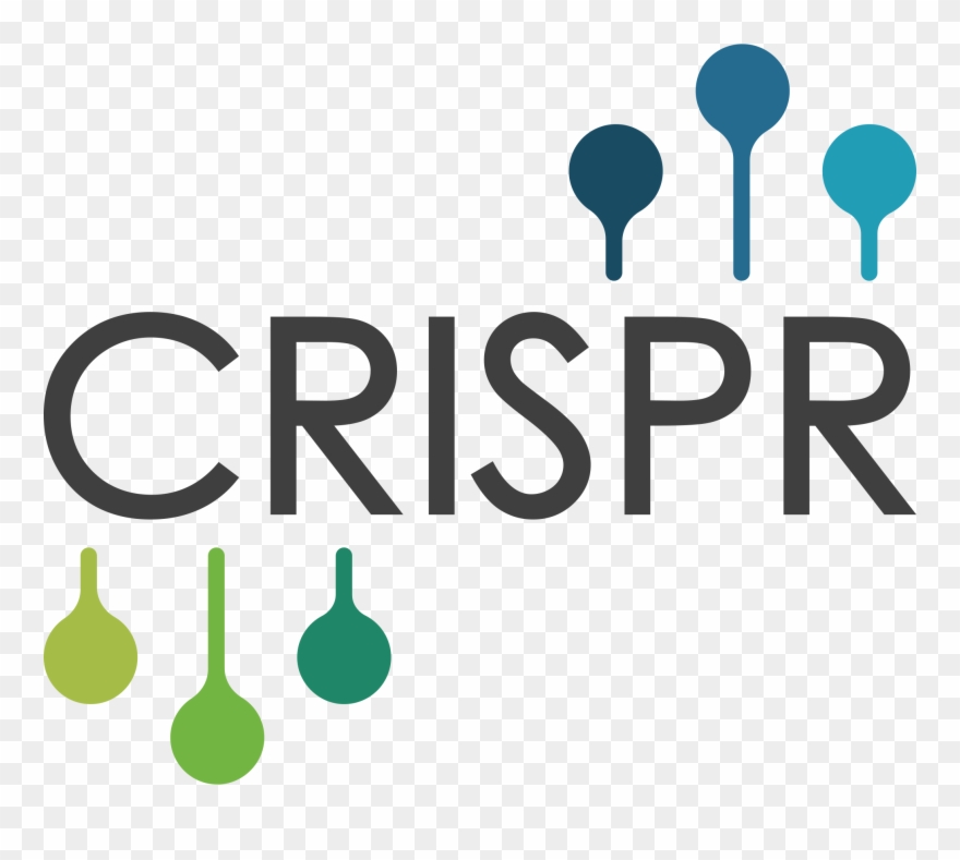 Image Result For Crispr - Crispr Png Clipart