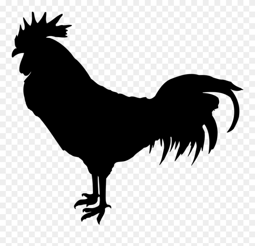 Clipart Vector - Cock Png Transparent Png