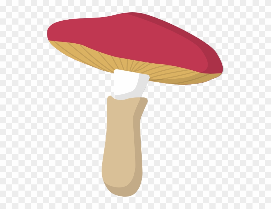 Https - //pub-static - Haozhaopian - Net/assets/res/ - Illustration Clipart