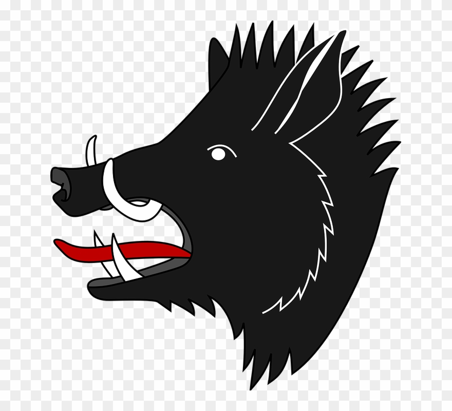 Collection Of Cartoon Fangs - Boar Head Coat Of Arms Clipart