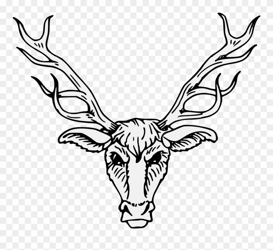 Pdf - Deer Head Heraldry Clipart
