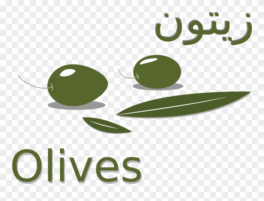 Big Image - Olive زيتون Clipart