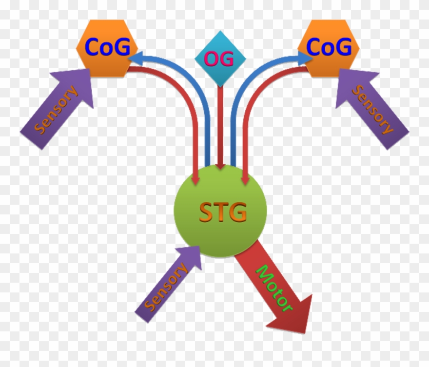 Stns Flowchart, Png File, Gabrielle Gutierrez - Arrow Clipart