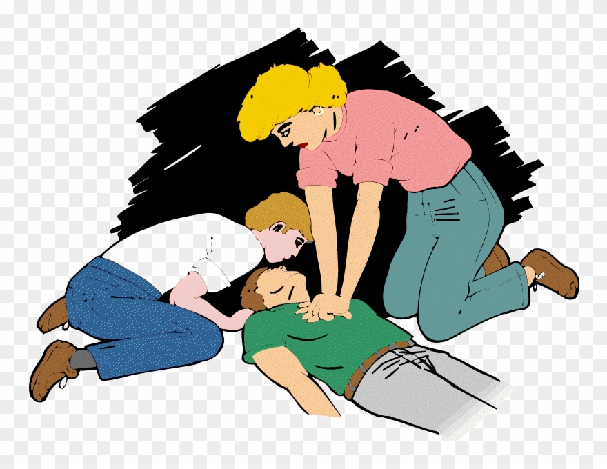 First Aid Clip Art Cliparts Co Clip Art Cornucopia - Qualities Of First Aider - Png Download