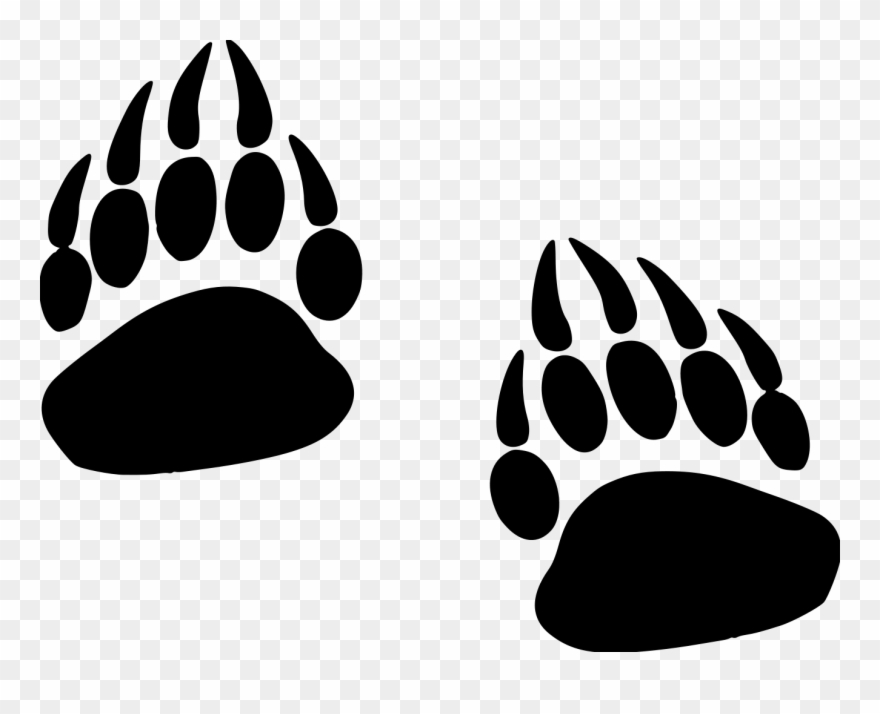 Grizzly Paw Prints File Size - Grizzly Paw Png Clipart
