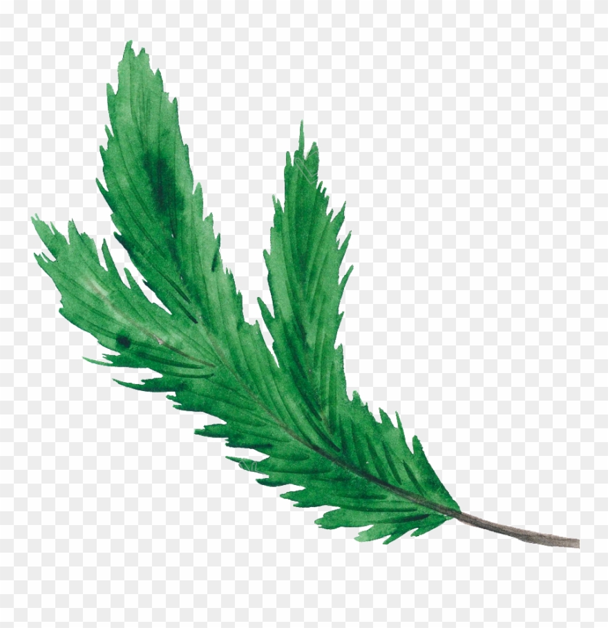 Christmas Leaf Png Green Christmas Leaf Christmas Transparent - Leaf Christmas Vector Png Clipart
