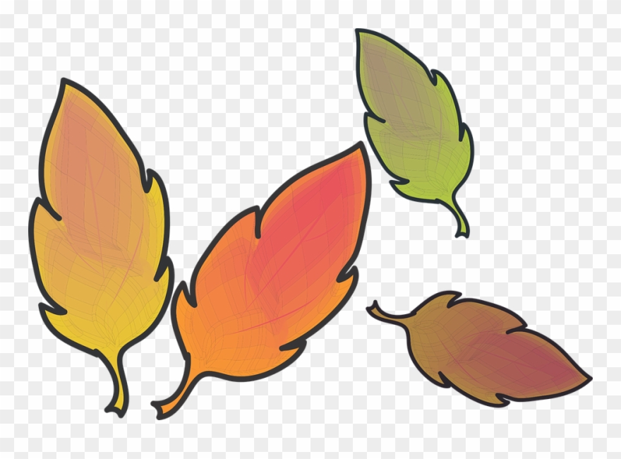 낙엽 무료 일러스트 Clipart