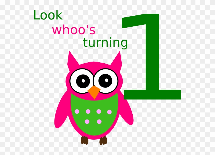 Owl Clipart Png Transparent Png