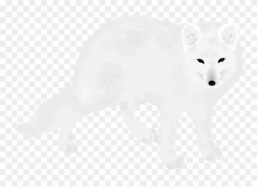 Arctic Fox - Portable Network Graphics Clipart