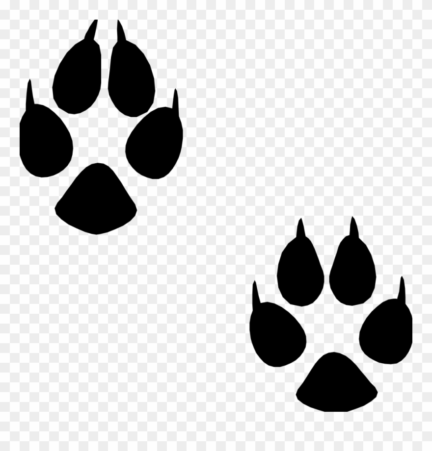 Animal Footprint Png Clipart