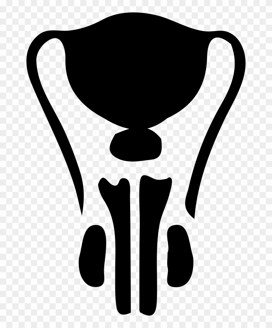 Male Reproductive System Comments - Male Reproductive System Png Clipart